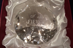 speaking-Marija-Pavkovic-Fierce-Awards-05